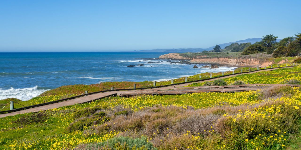Breathe Deep: The Best Coastal Walks in Cambria, California