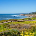 Breathe Deep: The Best Coastal Walks in Cambria, California