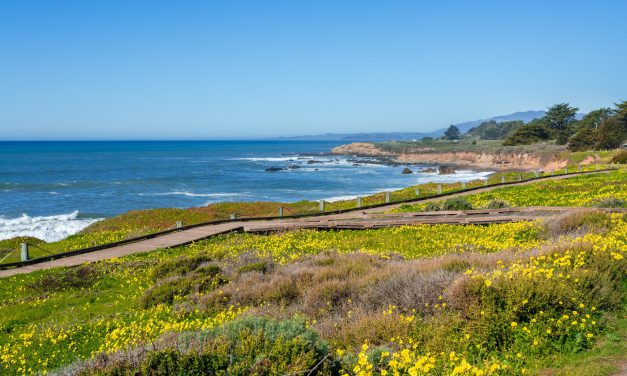 Breathe Deep: The Best Coastal Walks in Cambria, California