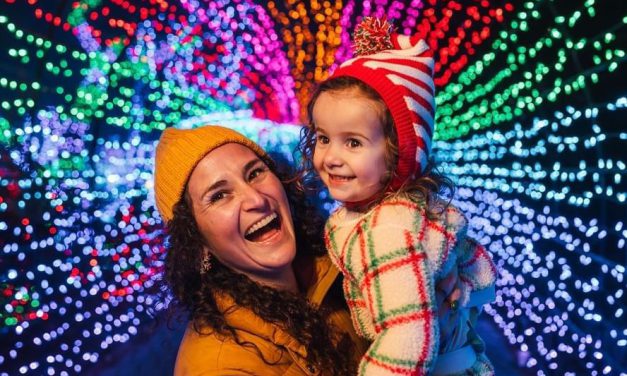 🎄 Cambria Christmas Market