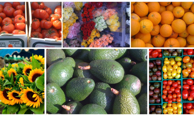 Cambria Farmers Market