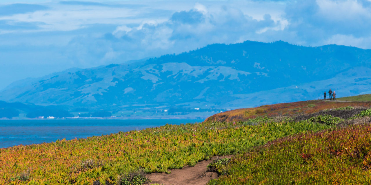Exploring Fiscalini Ranch Preserve: Cambria’s Most Beloved Coastal Trail System