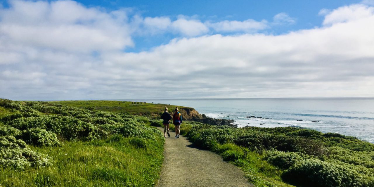Cambria After the Rain: Where the Hills Turn Their Greenest