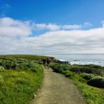 Cambria After the Rain: Where the Hills Turn Their Greenest
