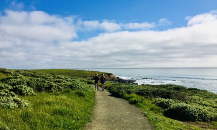 Cambria After the Rain: Where the Hills Turn Their Greenest