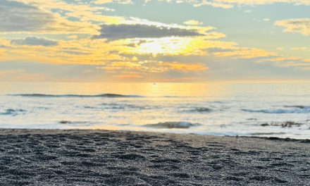 Winter in Cambria: The Off-Season Advantage Locals Quietly Love