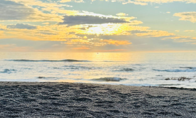 Winter in Cambria: The Off-Season Advantage Locals Quietly Love