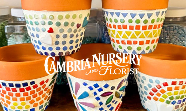 Mosaic Pot Workshop at Cambria Nursery