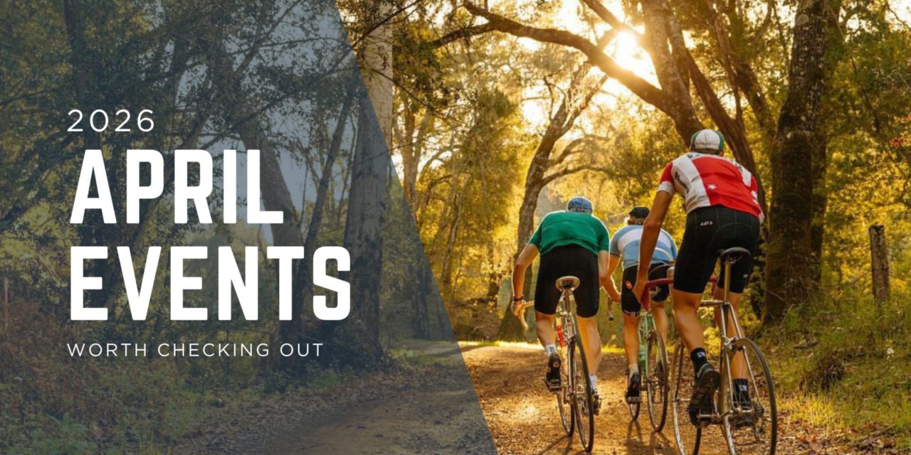 April in Cambria: What’s Happening, Where to Go, and What to Expect