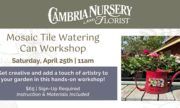 Mosaic Tile Watering Can Workshop