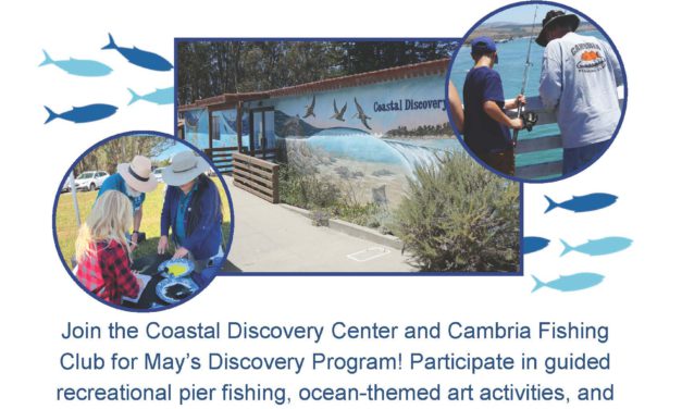 Discovery Saturday: Sanctuary Recreation
