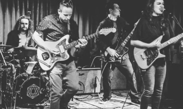 🎶 North Coast Live Music: B & The Hive at Harmony Cellars