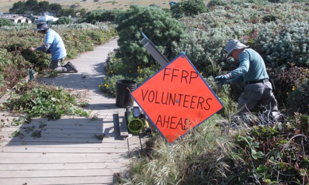 Invasive Plants of Fiscalini Ranch Preserve Nature Walk
