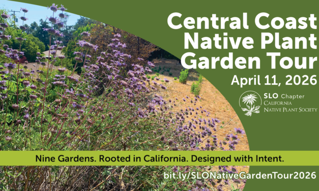 Central Coast Native Plant Garden Tour