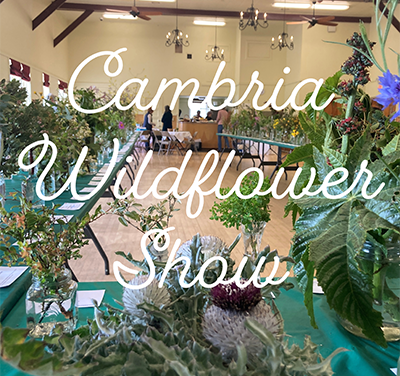 Cambria Wildflower Show