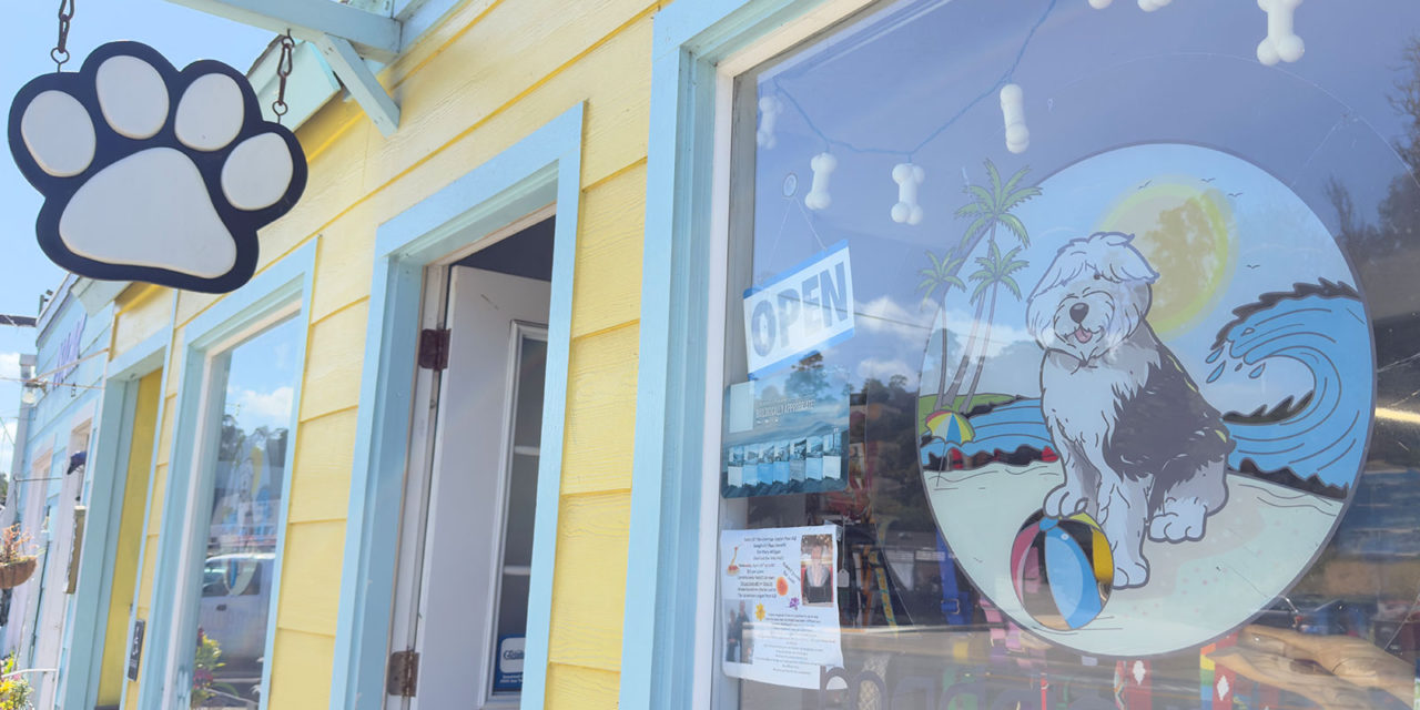 Hello Spotlight: Maddie Mae’s Pet Pantry