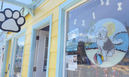 Hello Spotlight: Maddie Mae’s Pet Pantry