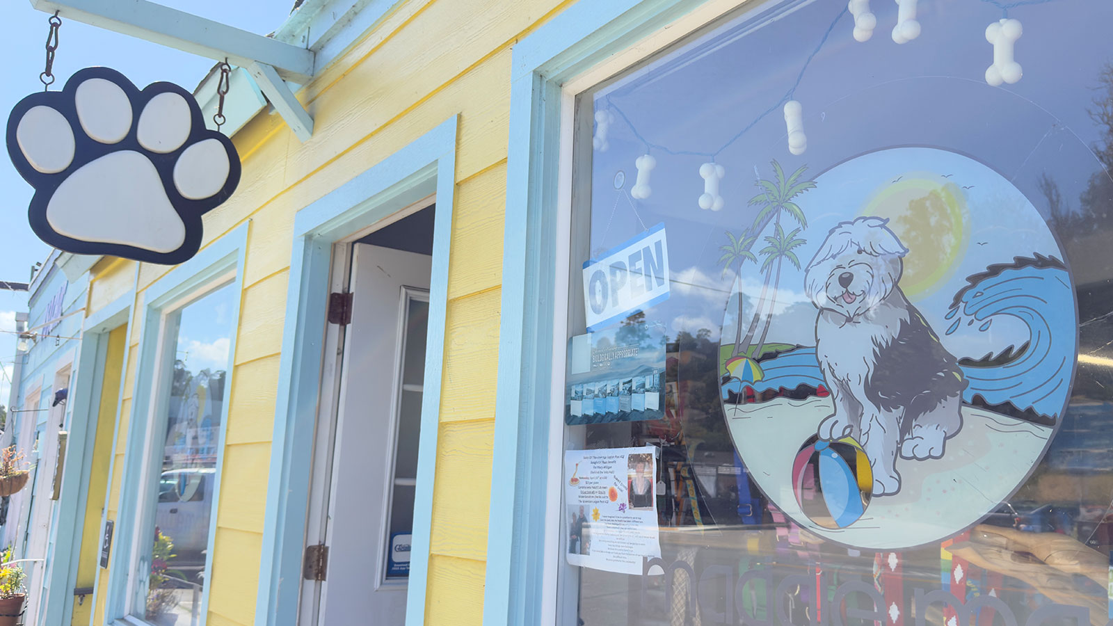 MaddieMae-Blog-Cover