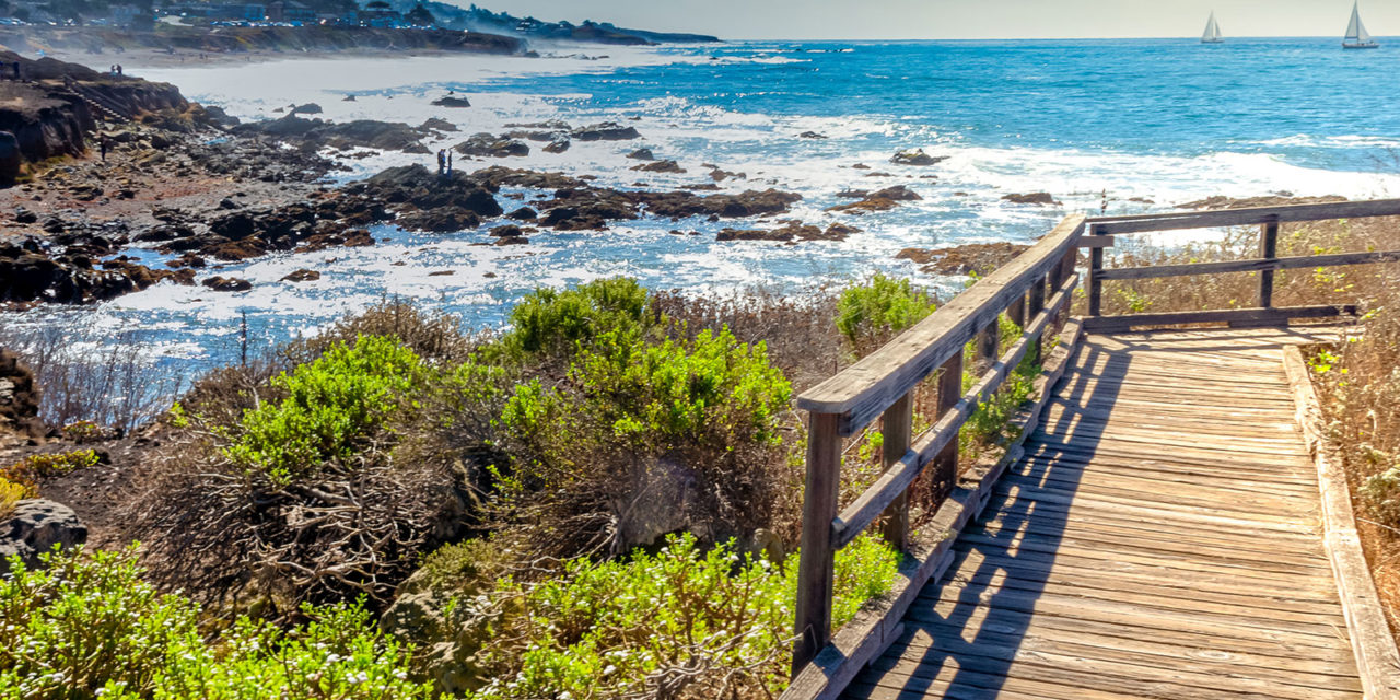 Things to Do in Cambria, California: A Local’s Guide to the North Coast