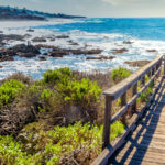Things to Do in Cambria, California: A Local’s Guide to the North Coast