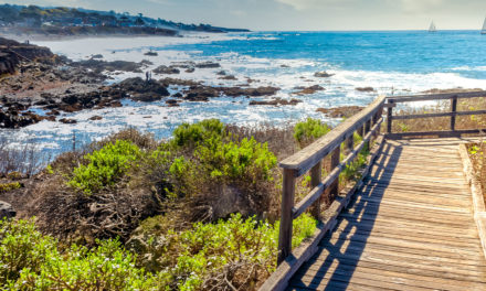 Things to Do in Cambria, California: A Local’s Guide to the North Coast