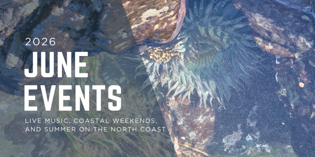June in Cambria: Live Music, Coastal Weekends, and Summer on the North Coast