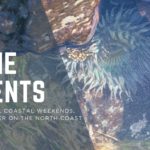 June in Cambria: Live Music, Coastal Weekends, and Summer on the North Coast