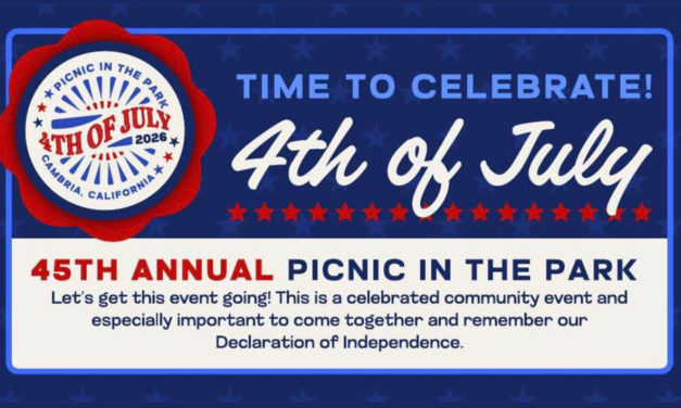 45th Annual 4th of July Picnic in the Park