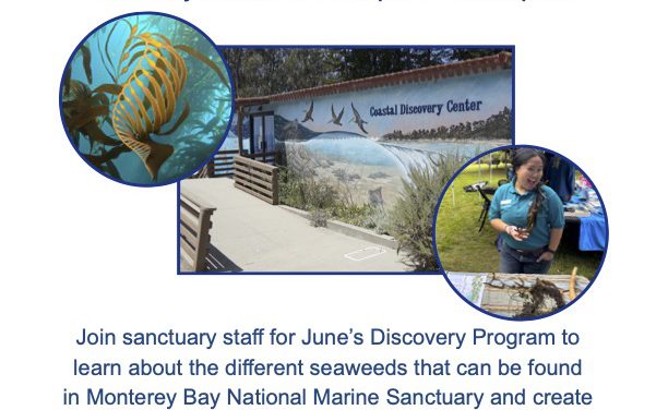North Coast: Seaweed Sunday at the Coastal Discovery Center