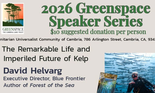 Greenspace Speaker Series: The Remarkable Life and Imperiled Future of Kelp with David Helvarg