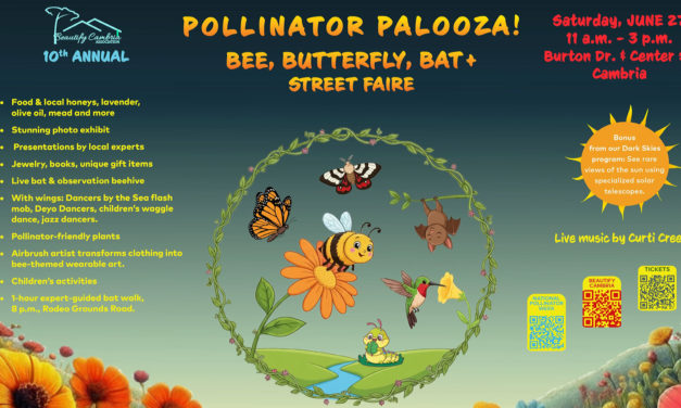 Pollinator Palooza: Bee, Butterfly and Bat Street Faire