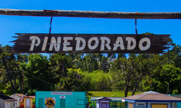 Pinedorado Days